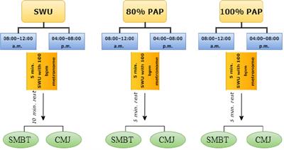 Motoric performance variation from morning to evening: 80% intensity post-activation potentiation protocol impacts performance and its diurnal amplitude in basketball players